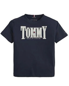 Tommy Hilfiger Boys Navy Blue T-shirt With Embroidered Logo