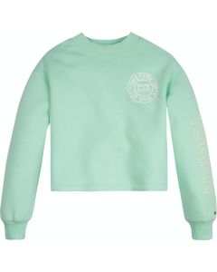 Tommy Hilfiger Girls &#039;Overprint&#039; Pale Green Sweater